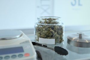 Read more about the article Who Qualifies for Medical Cannabis in Utah? A Resource for Medical Providers